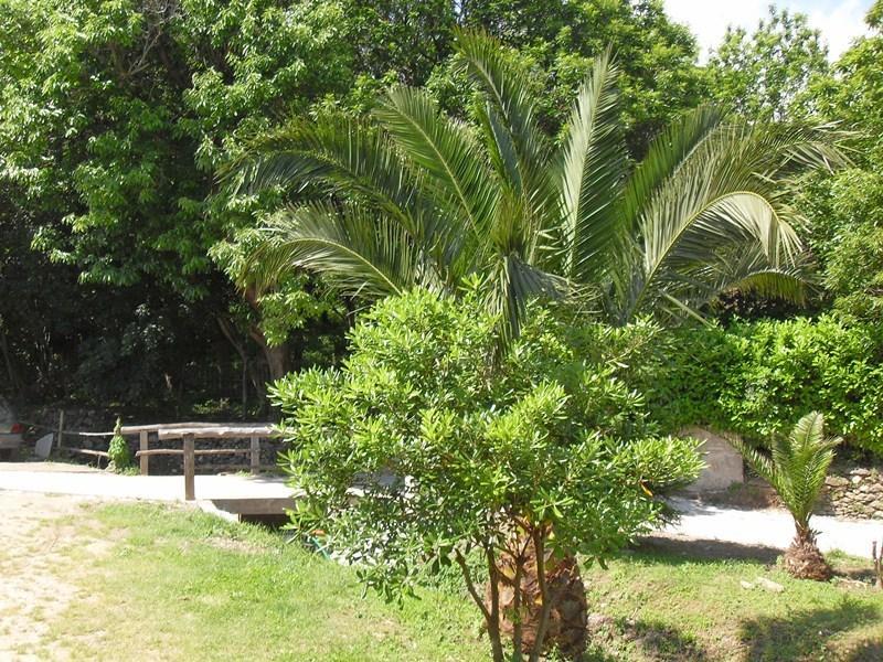Chambres Le Relais De Sisco Rum bild